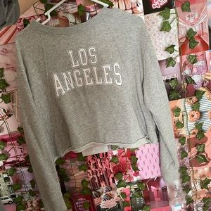 Long Sleeve Gray Crop Top